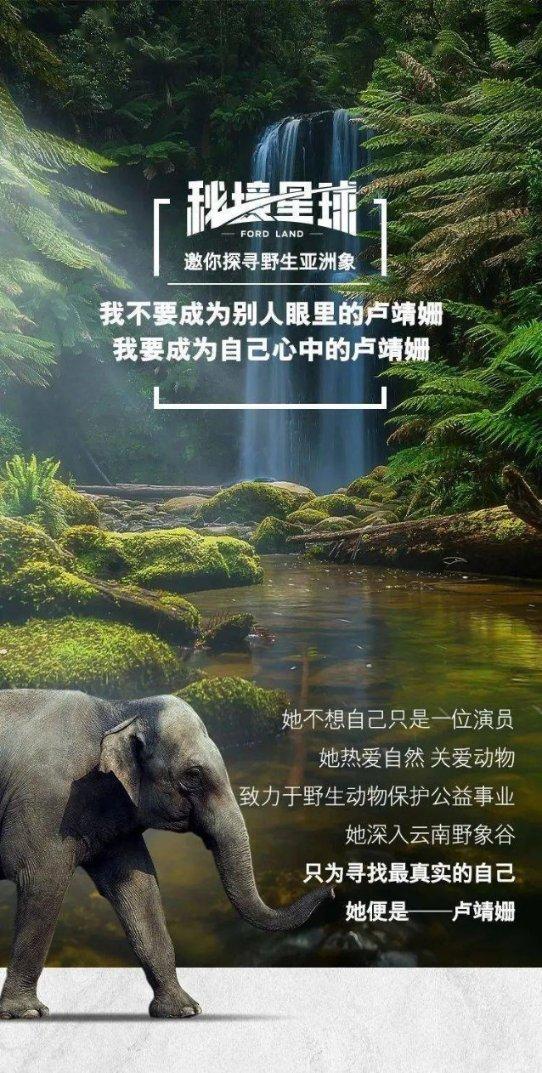 急速变色龙