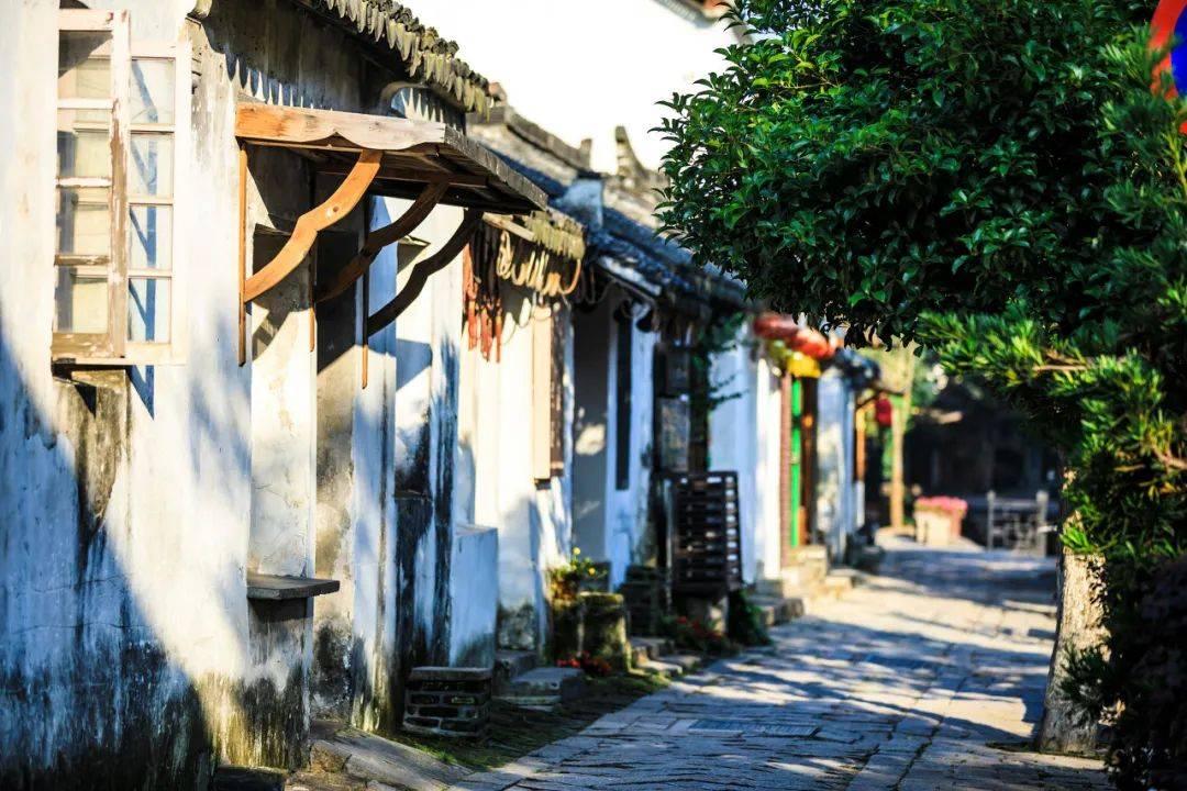 大鹰森林逃生