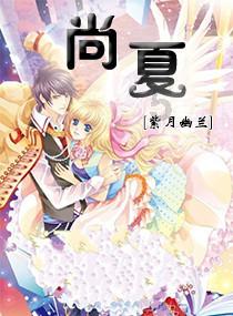 最后的大顺军:夔东十三家